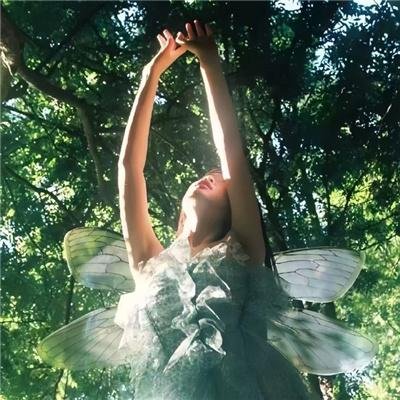 迪莉莉的巴黎奇幻搜查