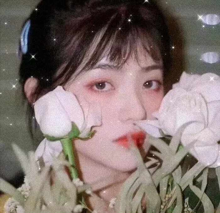 我会存活下来